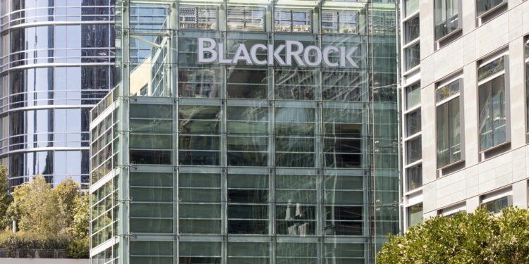 BlackRock forecasts private credit growth