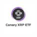 Canary XRP ETF attracts $245 million in net inflows on first trading day