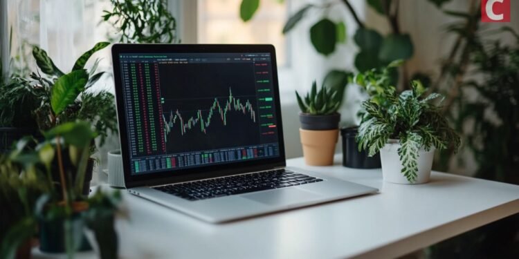 Crypto Investors Are Now Value Investors, CryptoQuant CEO Reveals Why