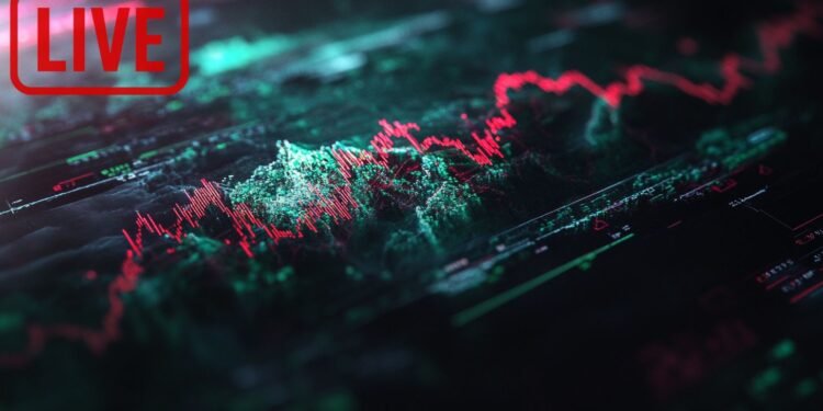 Live: Crypto Market Faces Downtrend on Nov. 12, What’s Driving This Decline?