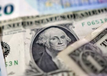 Dollar steady, Thanksgiving looms as yen test