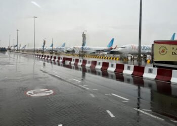 Exclusive-Airbus to win bulk of major flydubai jet order, sources say