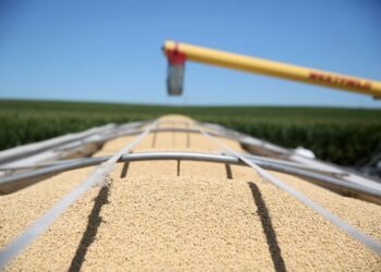 Exclusive-China buys at least 10 US soybean cargoes in new deals after Trump-Xi call, sources say