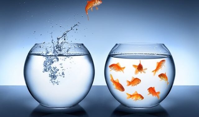 FE fundinfo acquires IFA tech provider Contengo