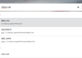 Google's Desktop Search App Is Back (Kind Of)