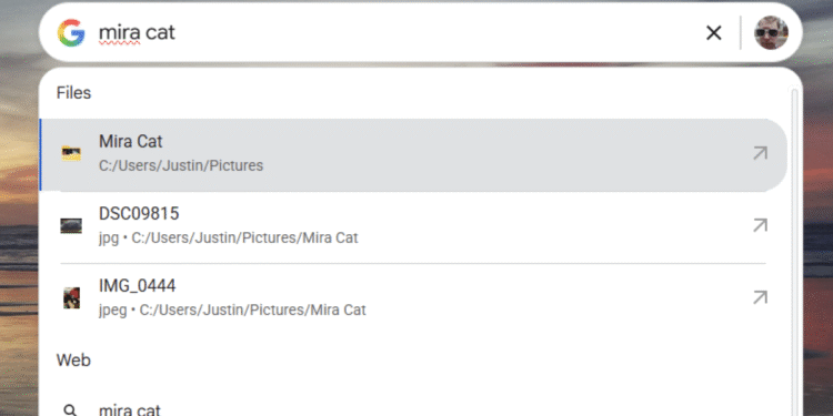 Google's Desktop Search App Is Back (Kind Of)