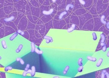 I'm a Tech Editor, and These Are the Best Early Black Friday Tech Deals Right Now