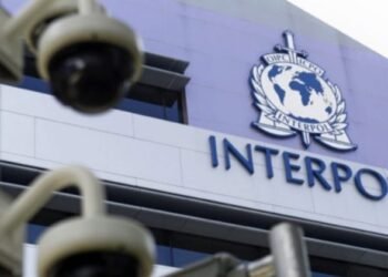 Interpol pushes for coordinated action against scam hubs running investment and crypto fraud