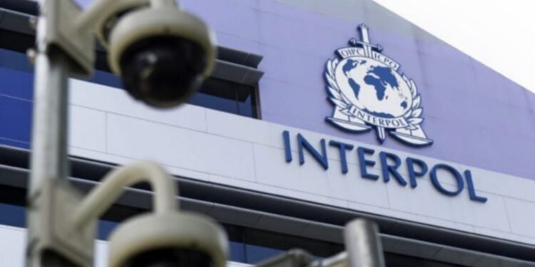 Interpol pushes for coordinated action against scam hubs running investment and crypto fraud
