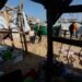 Israeli fire kills five in Gaza, casting further doubt on ceasefire