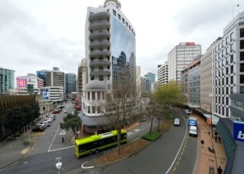 New Zealand business confidence jumps in November to highest in a decade