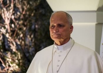 Pope Leo: Palestinian state 'only' solution to Israeli conflict