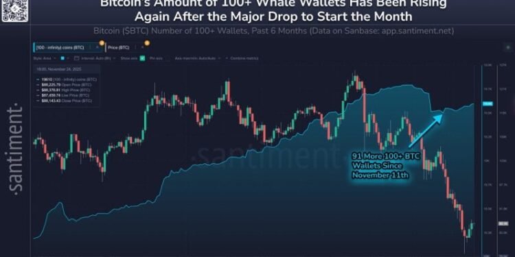 Santiment observes surge in Bitcoin wallets holding 100 BTC