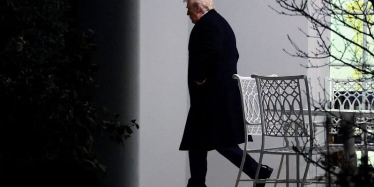 Trump buys at least $82 million in bonds since late August, disclosures show