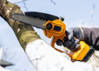 Why I Own a Mini Chainsaw (and Maybe You Should Too)
