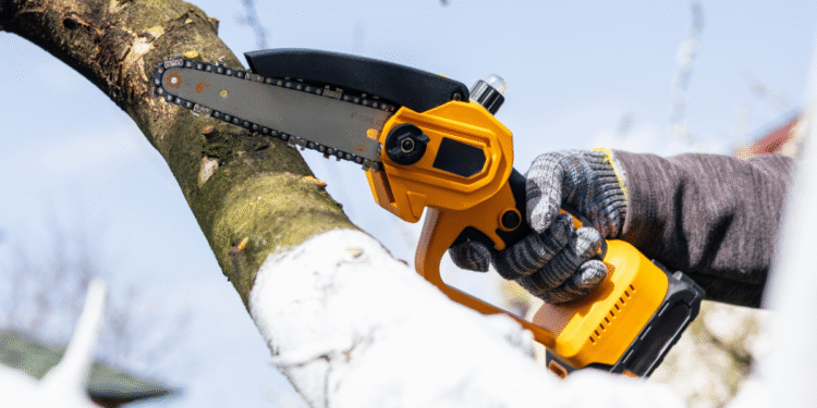 Why I Own a Mini Chainsaw (and Maybe You Should Too)