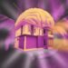10 Hacks That Every Smart Home Owner Should Know