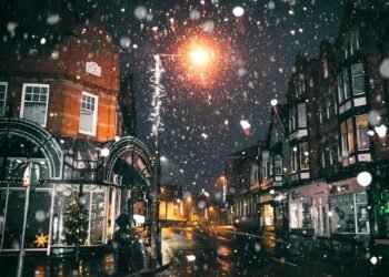 A month in the life of CV Shed