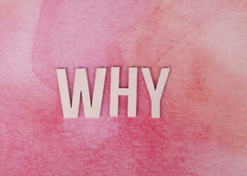 Why use a professional CV writer?