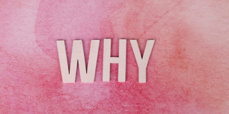 Why use a professional CV writer?