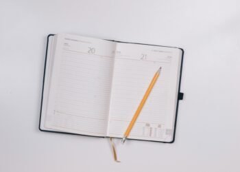 A month in the life of Word Dragon