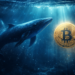 Bitcoin Whales