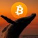 Bitcoin whales accumulate 54K BTC worth $4.66B as market trades sideways