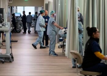 Health care jobs are 'engine' of the labor market, economist says