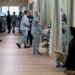 Health care jobs are 'engine' of the labor market, economist says