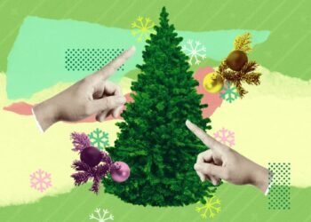 How to Choose the Best Christmas Tree for Your Home