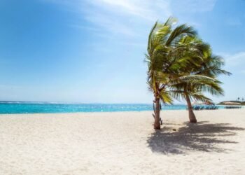 How to present a career break on your CV