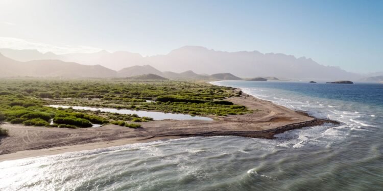 Condé Nast Traveler