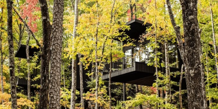 Condé Nast Traveler