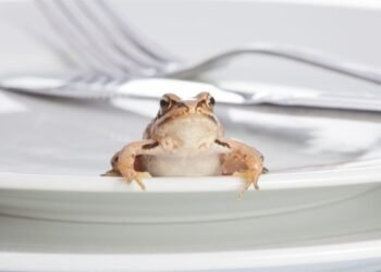 Instead of 'Eating the Frog,' Use the 10-Minute Rule to Be More Productive