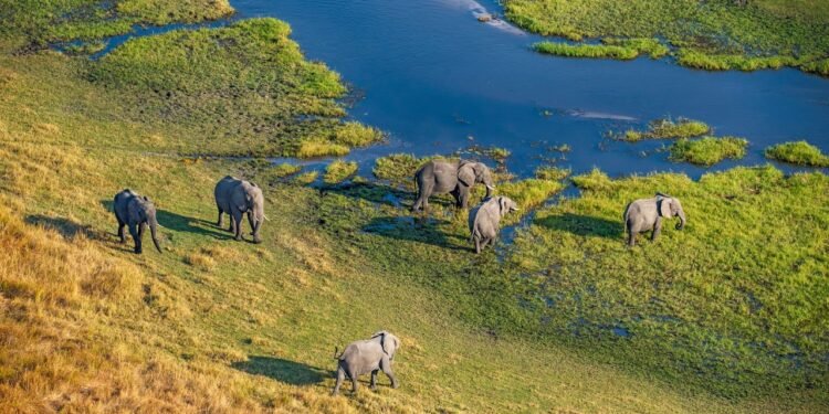 Our Editors Find the Best Places to Go Every Year: Here's Where to Visit in March