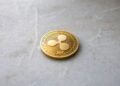 Ripple-backed Evernorth faces $220M drawdown as XRP struggles