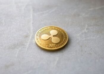 Ripple-backed Evernorth faces $220M drawdown as XRP struggles