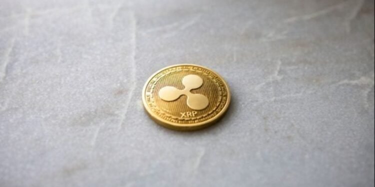 Ripple-backed Evernorth faces $220M drawdown as XRP struggles