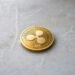Ripple-backed Evernorth faces $220M drawdown as XRP struggles