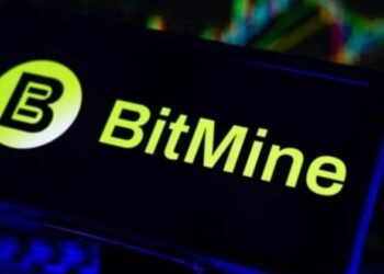 Tom Lee's BitMine may have scooped up another 41,946 ETH