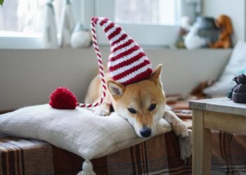 Weekly Mortgage Rates Stable But Could Dip Lower