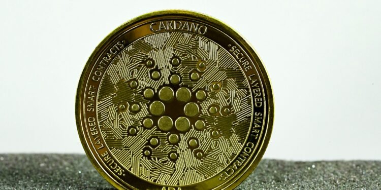 Cardano