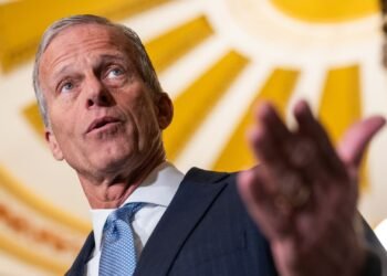 What health policy experts say