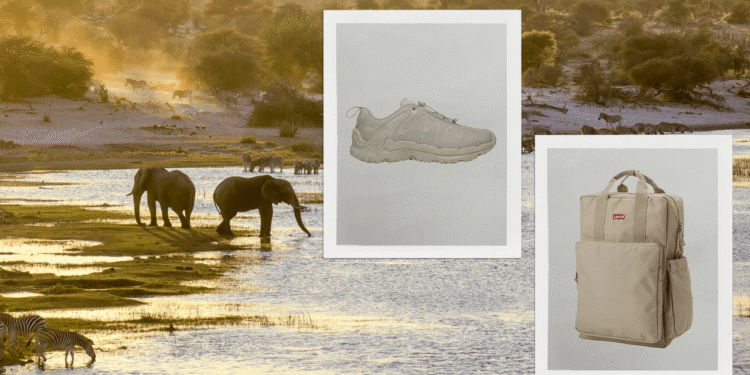 Condé Nast Traveler