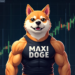 Мемкоины с собачьей тематикой удерживают 39,5% рынка - станет ли Maxi Doge новым лидером?