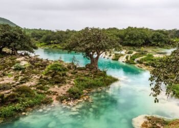 Condé Nast Traveler