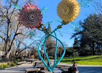 2025 FIRE Wrap Up - Retire by 40