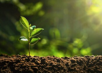 2025 private credit growth driven by LBO comeback