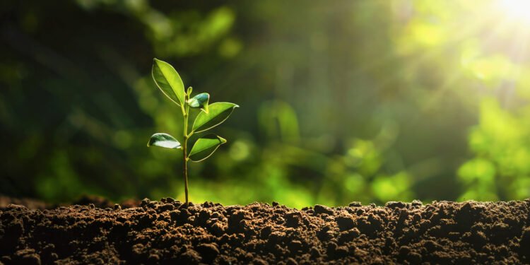 2025 private credit growth driven by LBO comeback