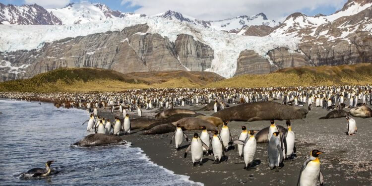 Condé Nast Traveler